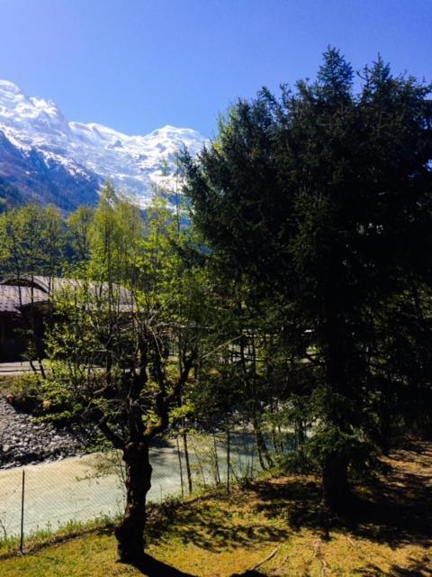 Studio Lumineux Avec Vue Sur Le Massif Du Mont-Blanc Chamonix Mont Blanc Exterior foto